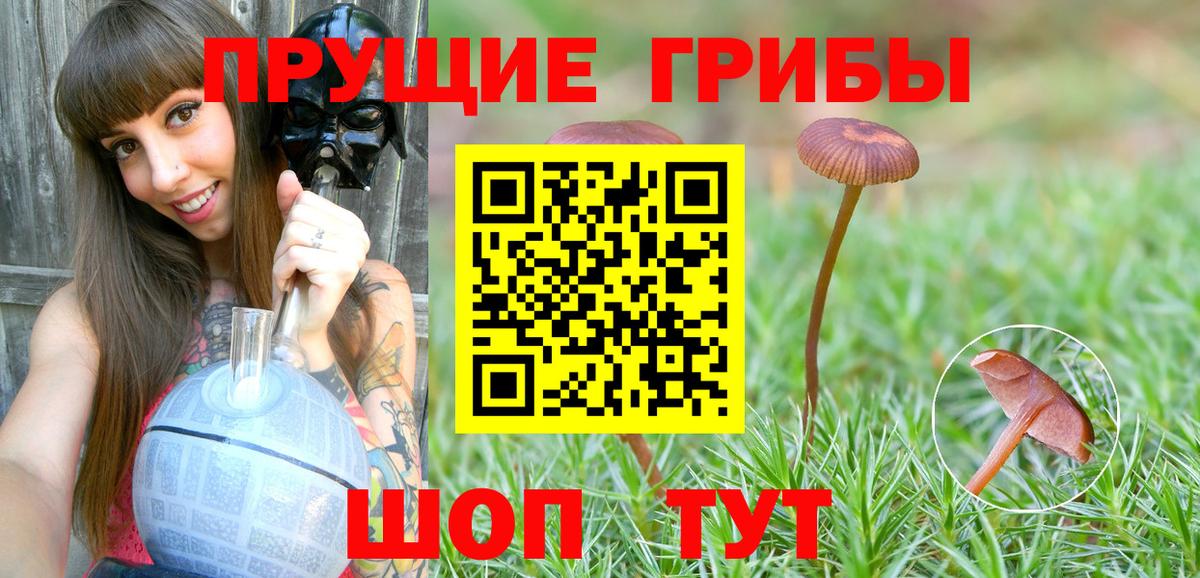 Гашиш Орёл
